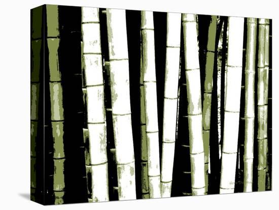 Enchanted Bamboo Green-Herb Dickinson-Stretched Canvas