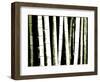 Enchanted Bamboo Green-Herb Dickinson-Framed Photographic Print