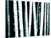 Enchanted Bamboo Teal-Herb Dickinson-Stretched Canvas