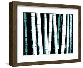 Enchanted Bamboo Teal-Herb Dickinson-Framed Photographic Print