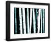Enchanted Bamboo Teal-Herb Dickinson-Framed Photographic Print