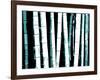 Enchanted Bamboo Teal-Herb Dickinson-Framed Photographic Print