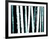 Enchanted Bamboo Teal-Herb Dickinson-Framed Photographic Print