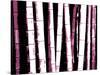 Enchanted Bamboo Wine-Herb Dickinson-Stretched Canvas