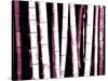 Enchanted Bamboo Wine-Herb Dickinson-Stretched Canvas