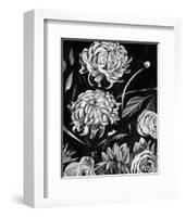 Enchanted Bloom II-Annie Warren-Framed Art Print