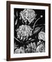 Enchanted Bloom II-Annie Warren-Framed Art Print