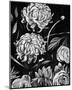 Enchanted Bloom II-Annie Warren-Mounted Art Print