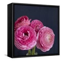 Enchanted Blooms-Susannah Tucker-Framed Stretched Canvas