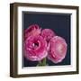 Enchanted Blooms-Susannah Tucker-Framed Art Print