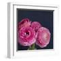 Enchanted Blooms-Susannah Tucker-Framed Art Print