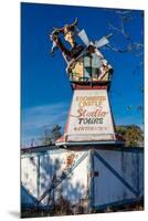 Enchanted Castle Studio Tours - deserted roadside attraction, rural Virgnia-null-Mounted Premium Photographic Print