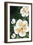 Enchanted Florals II-Yvette St. Amant-Framed Art Print