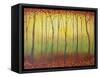 Enchanted Forest II-Herb Dickinson-Framed Stretched Canvas