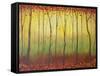 Enchanted Forest II-Herb Dickinson-Framed Stretched Canvas