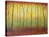 Enchanted Forest II-Herb Dickinson-Stretched Canvas