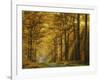 Enchanted Forest-Marianna Safronova-Framed Giclee Print