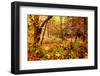 Enchanted Forest-Mirage3-Framed Photographic Print