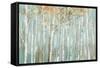 Enchanted Forest-Allison Pearce-Framed Stretched Canvas