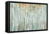 Enchanted Forest-Allison Pearce-Framed Stretched Canvas