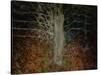 Enchanted Forest-Valda Bailey-Stretched Canvas