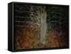 Enchanted Forest-Valda Bailey-Framed Stretched Canvas