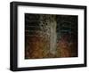 Enchanted Forest-Valda Bailey-Framed Photographic Print