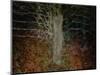 Enchanted Forest-Valda Bailey-Mounted Photographic Print