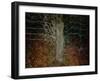 Enchanted Forest-Valda Bailey-Framed Premium Photographic Print