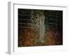 Enchanted Forest-Valda Bailey-Framed Premium Photographic Print