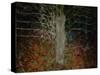 Enchanted Forest-Valda Bailey-Stretched Canvas