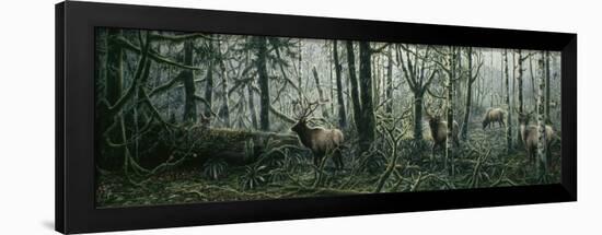 Enchanted Forest-Jeff Tift-Framed Premium Giclee Print