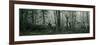 Enchanted Forest-Jeff Tift-Framed Premium Giclee Print