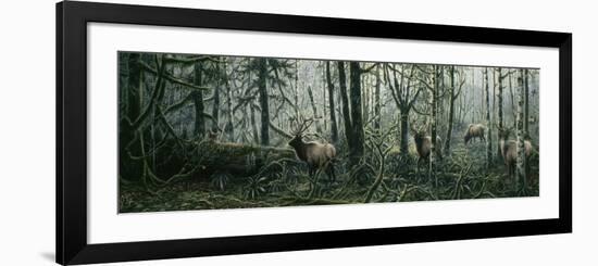 Enchanted Forest-Jeff Tift-Framed Premium Giclee Print