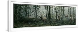 Enchanted Forest-Jeff Tift-Framed Premium Giclee Print