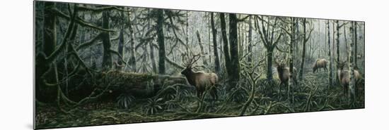 Enchanted Forest-Jeff Tift-Mounted Premium Giclee Print
