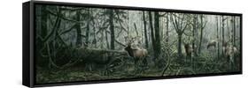 Enchanted Forest-Jeff Tift-Framed Stretched Canvas