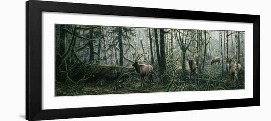 Enchanted Forest-Jeff Tift-Framed Giclee Print