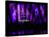 Enchanted Glimpse No One Is Too Old For Fairytales-Julie Fain-Stretched Canvas