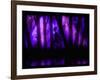 Enchanted Glimpse-Julie Fain-Framed Art Print