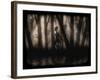 Enchanted Glimpse-Julie Fain-Framed Art Print