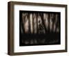 Enchanted Glimpse-Julie Fain-Framed Art Print