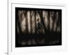 Enchanted Glimpse-Julie Fain-Framed Art Print