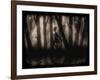 Enchanted Glimpse-Julie Fain-Framed Art Print