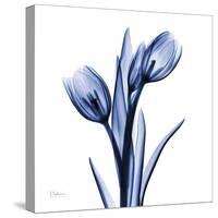 Enchanted Indigo Tulips-Albert Koetsier-Stretched Canvas