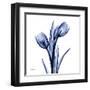 Enchanted Indigo Tulips-Albert Koetsier-Framed Art Print