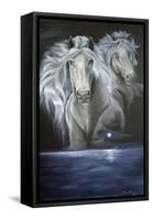 Enchanted Moonlight Dreams-Sue Clyne-Framed Stretched Canvas