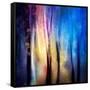 Enchanted Night-Ursula Abresch-Framed Stretched Canvas