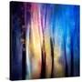 Enchanted Night-Ursula Abresch-Stretched Canvas