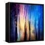 Enchanted Night-Ursula Abresch-Framed Stretched Canvas